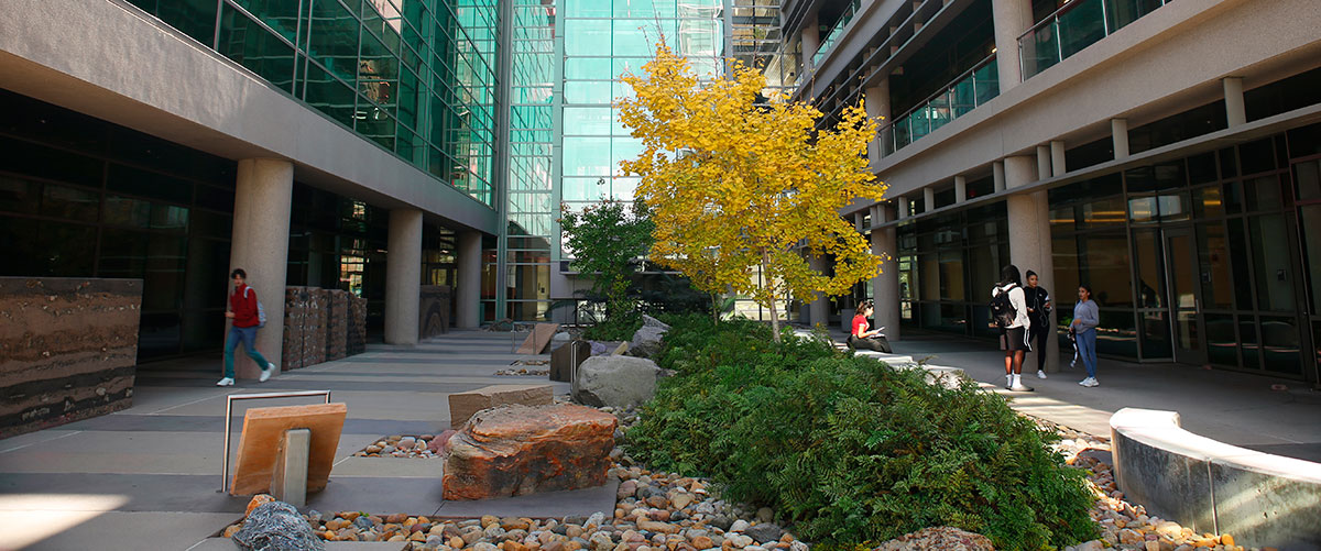 The geo garden at mesa college