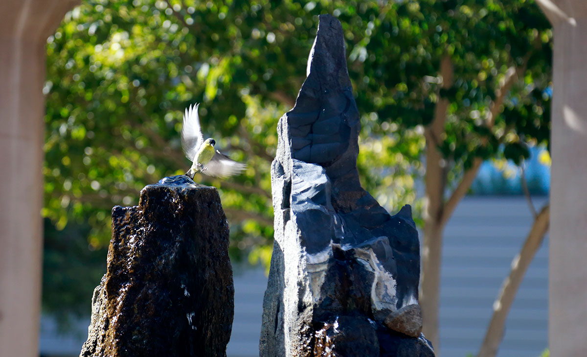 A rock fountain at Miramar College