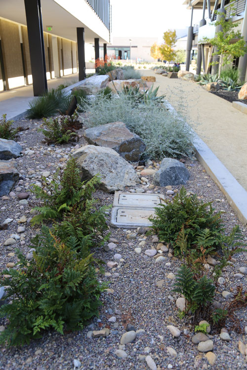 Miramar College science garden