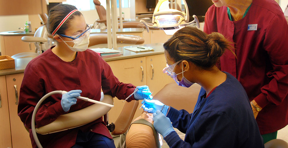 Two students work on a dummy patient in a dental hygenist class