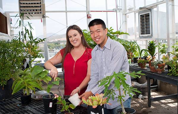 Two students work in a greenhouse