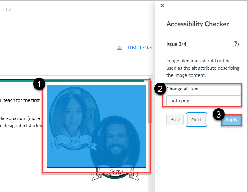 Demonstration in Canvas to how to add alternative text in the Canvas Accessibility Checker