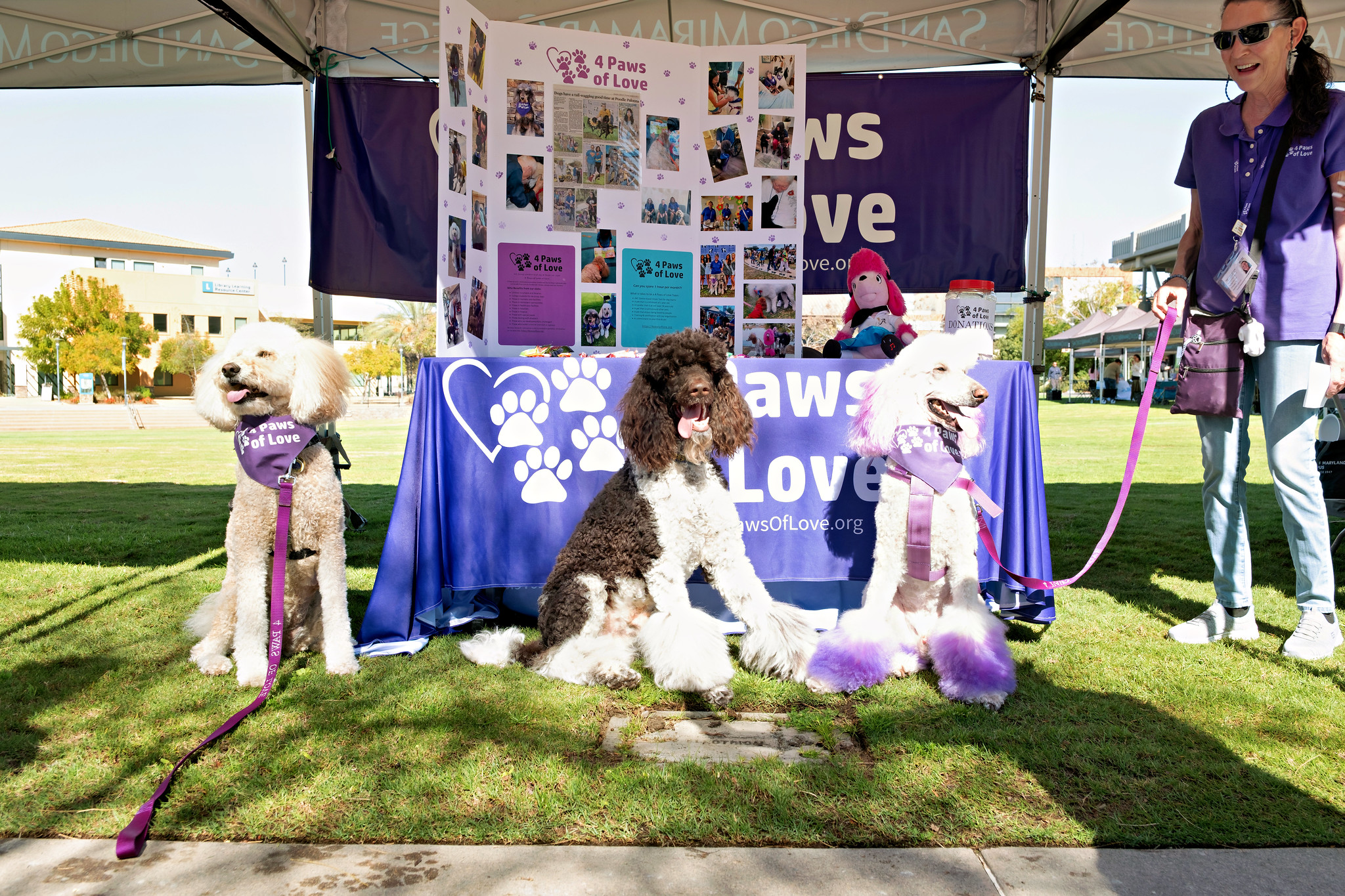 
Three dogs near th Paws of Love welcome table.
